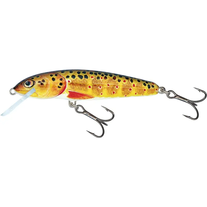 Satisfait Ou Remboursé Poisson Nageur Coulant SALMO Minnow Sinking 6cm – 6g