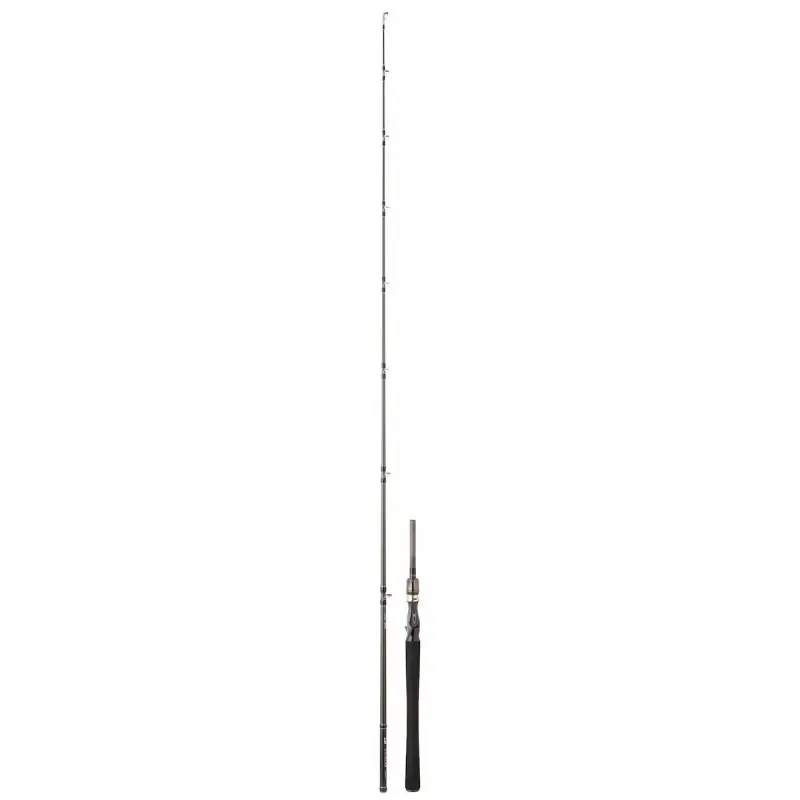 Offre Exclusive Canne Casting DAIWA Exceler 602 XXH - 1,83m / 60-120g