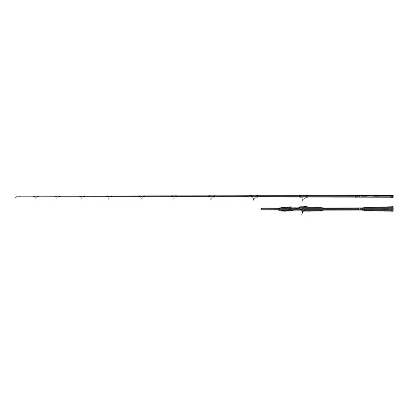 Canne Casting FOX RAGE Prism X Big Bait Extreme – 2,40m / up to 230g Meilleur Choix