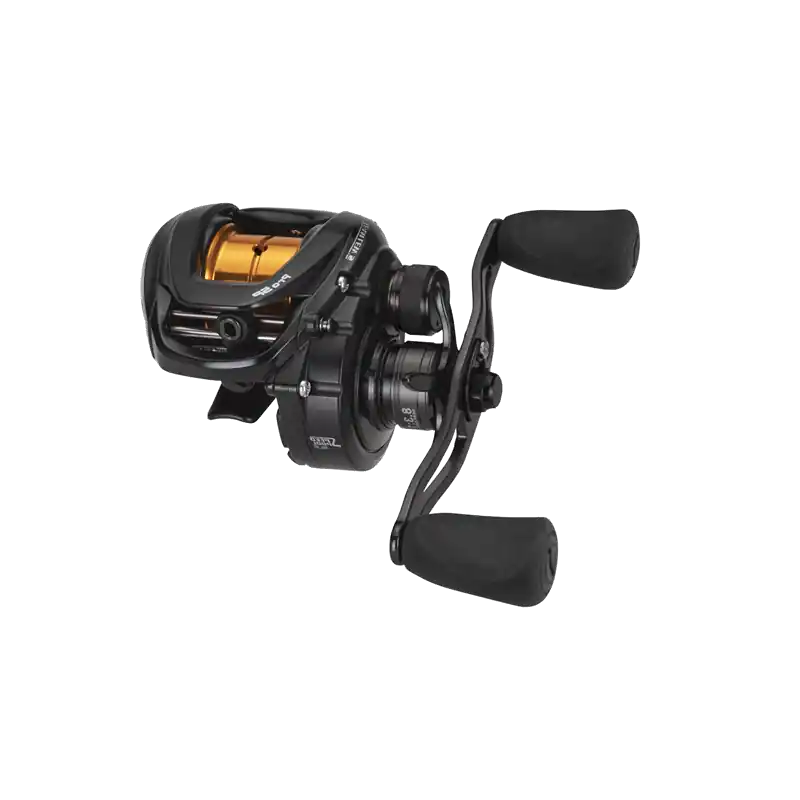 Livraison Express Moulinet Casting LEW‘S Pro SP Skipping & Pitching