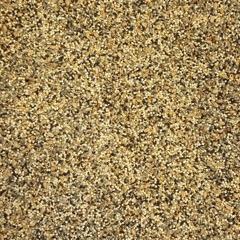 Mélange de Micro Graines Seulement Aujourd&rsquo;hui