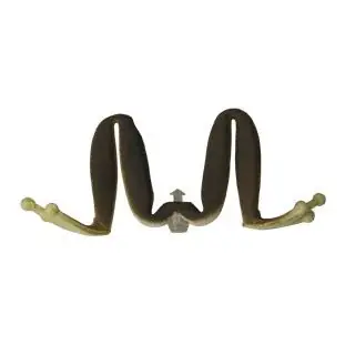 Dernier Modèle Kahara Diving Frog rechange 6 JP toad 2pc.