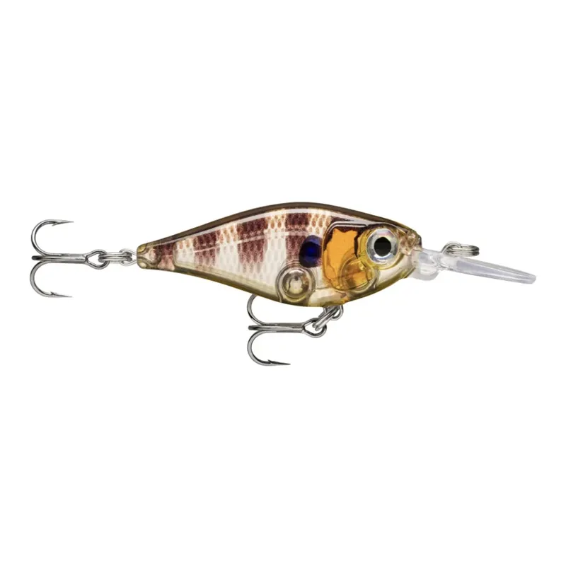 Petit Prix Rapala X-Light Shad
