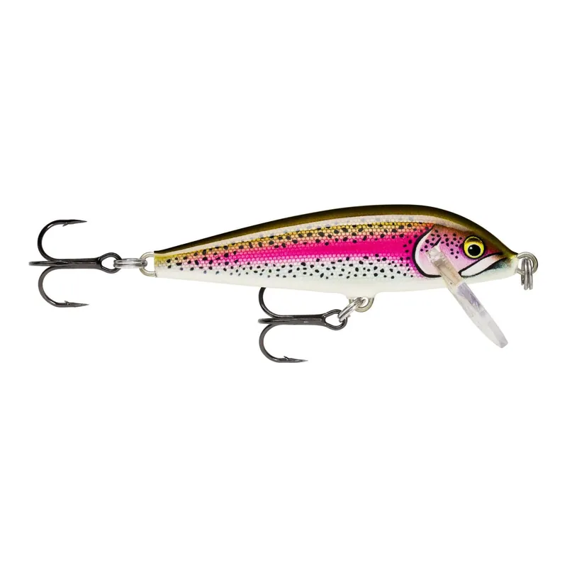 Rapala Countdown sinking Artistic Rainbow Trout - Wobbler Expédié Aujourd'hui