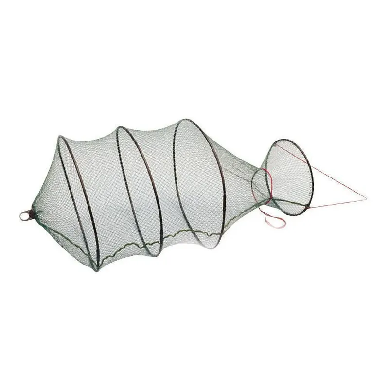 Offre Du Jour Glardon Setzkescher - Feumer