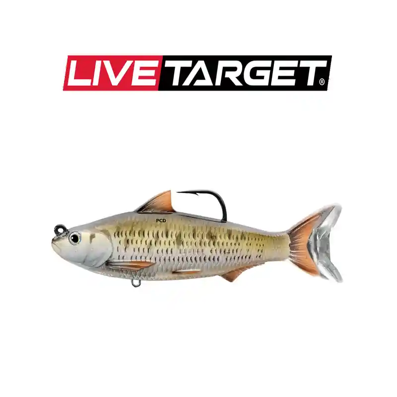 LEURRES SOUPLES LIVE TARGET COMMON SHINER 10CM Retour Gratuit