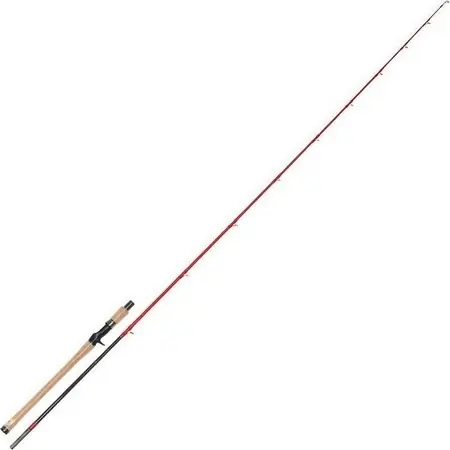 Commande En Gros Canne Casting TenRyu Injection BC 80 XXh