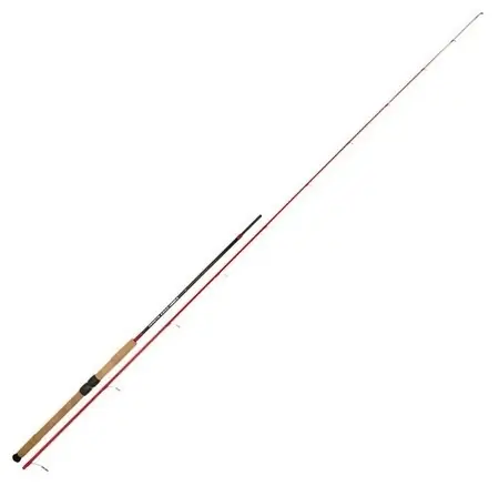 Bon Plan Canne Spinning TenRyu Kaiako Iwana