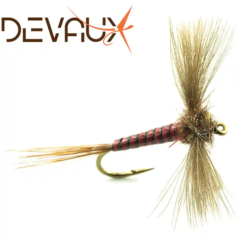 MOUCHE SPENT DEVAUX JBS 01 PAR 3 Nouvel Arrivage