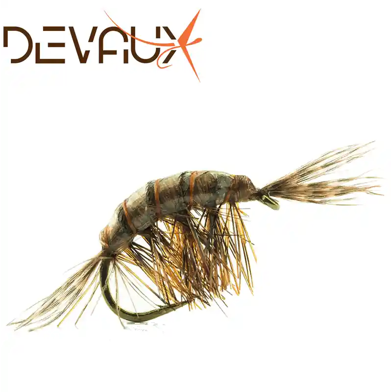 MOUCHE DEVAUX GAMMARE JBGL10 PAR 3 Offre Limitée