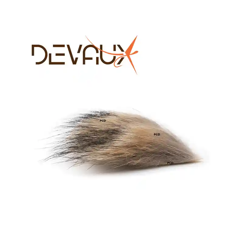 COYOTTE DEVAUX Certifié