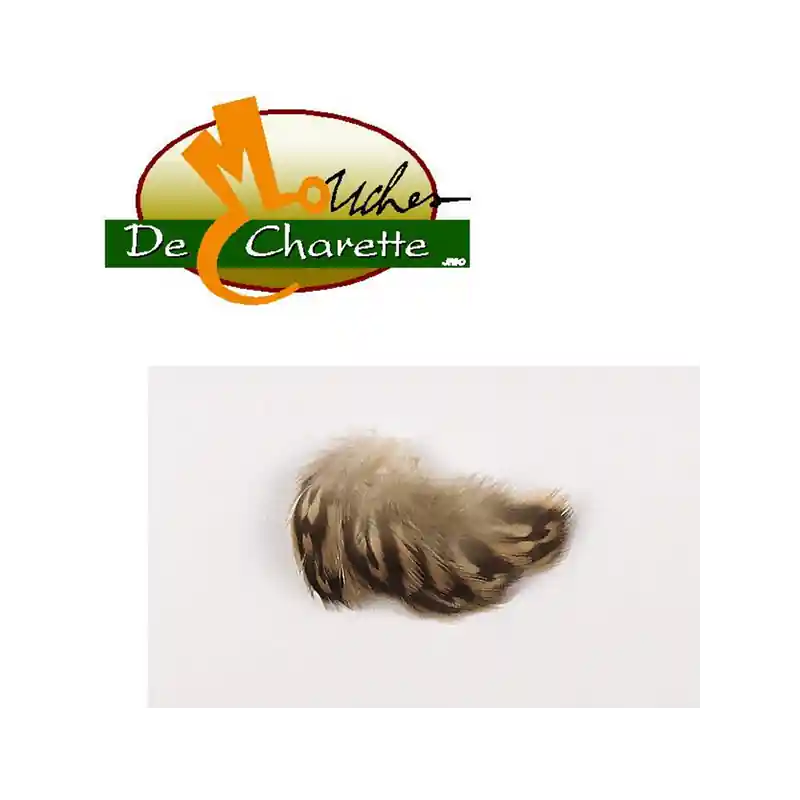 FLAN DE CANE JMC DE CHARETTE Acheter En Ligne