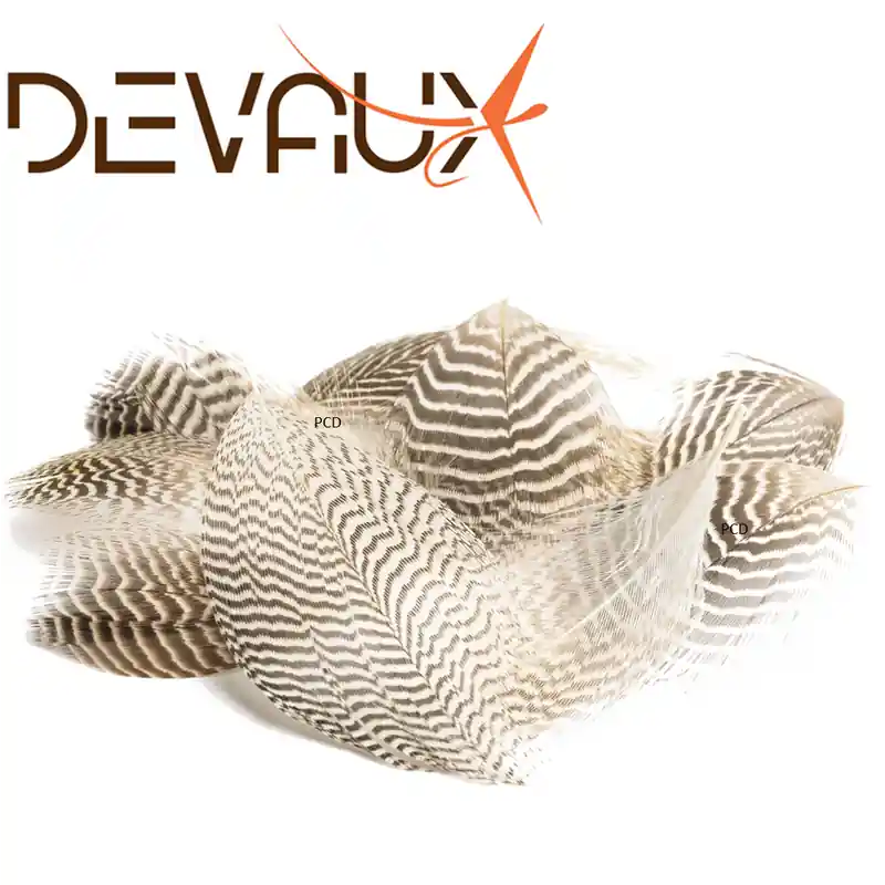 Bon Plan PLUMES DEVAUX SARCELLE