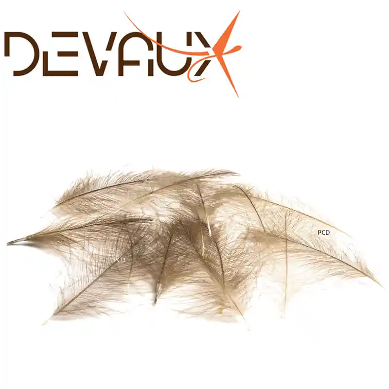 CDC DEVAUX 1G Meilleur Prix