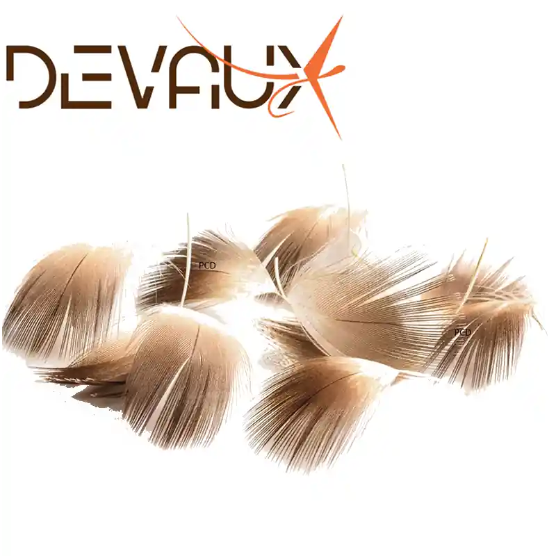 Commander Vite PLUMES DEVAUX POITRAIL DE COLVERT