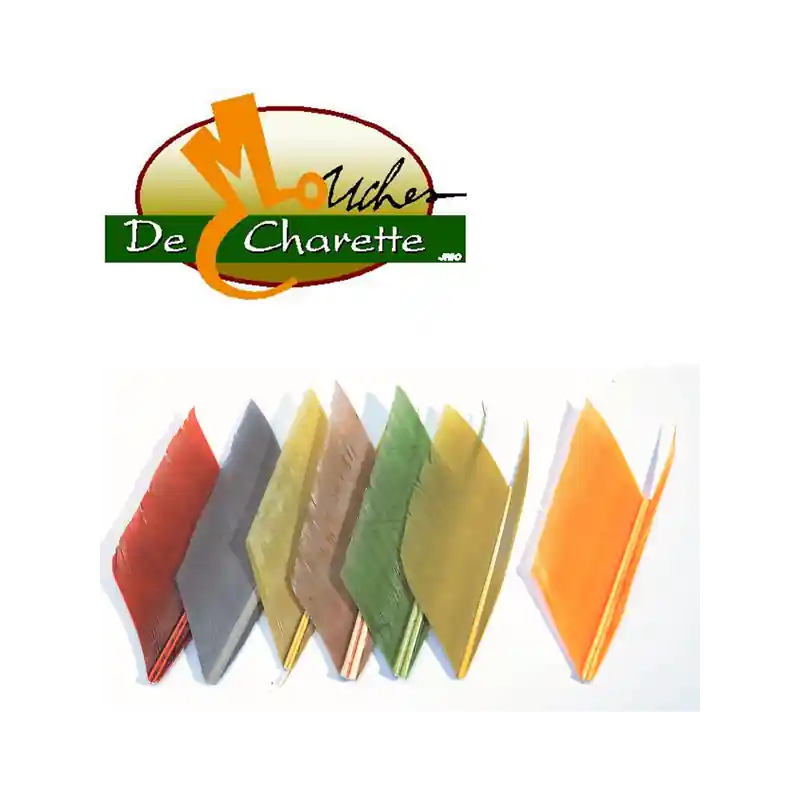 Satisfait Ou Remboursé QUILL D‘AILE DE DINDE JMC DE CHARETTE