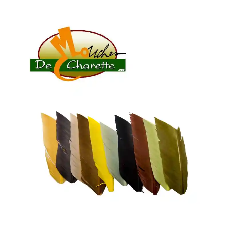 SUBSTITUT DE CONDOR JMC DE CHARETTE Meilleur Choix