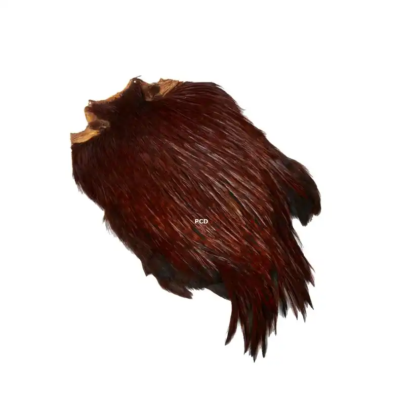 Offre Du Jour Cous De Coqs Indiens Top Grade Jmc De Charette