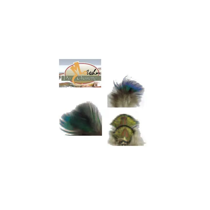 Vente Directe PLUME DE PAON JMC DE CHARETTE