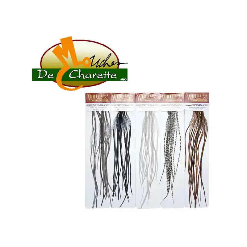 Dernier Modèle PLUMES MICROBARB WITHING SILVER G2 JMC DE CHARETTE