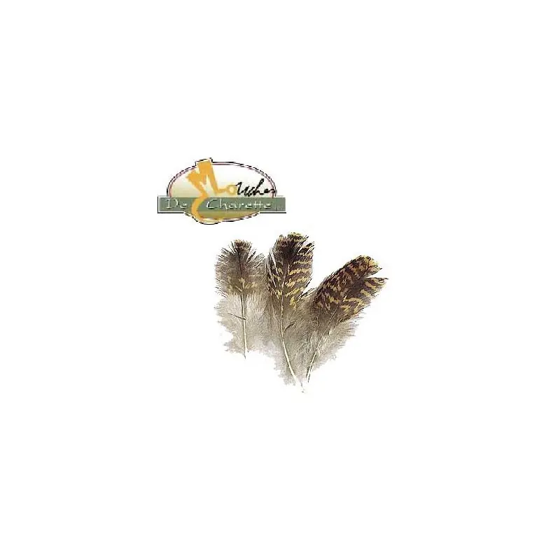 GROUSE (TETRAS) JMC DE CHARETTE Dernière Chance
