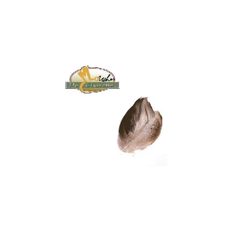 Acheter Direct BRONZE MALLARD JMC DE CHARETTE