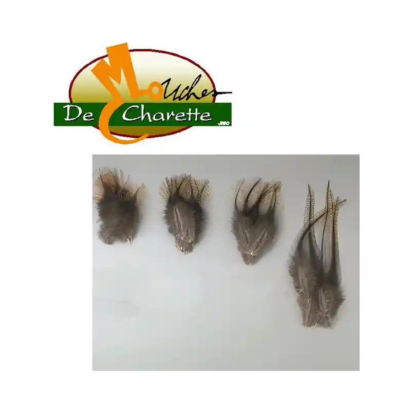Authentique PLUMES NATURELLES DE PARDO JMC DE CHARETTE