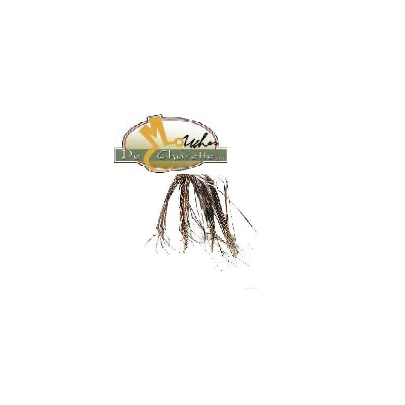 PATTES D‘INSECTES JMC DE CHARETTE Prix Bas