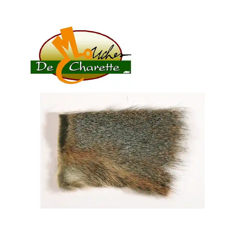 Marque ECUREUIL GRIS SUR PEAU JMC DE CHARETTE