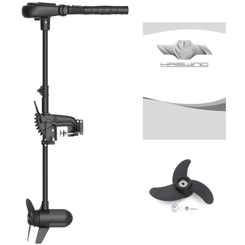 Vente Flash Moteur électrique bateau Haswing Protruar 1.0