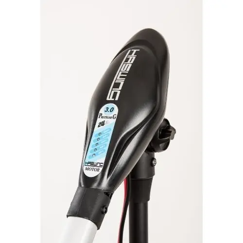 Prix Bas Moteur électrique bateau Haswing Protruar G 3.00