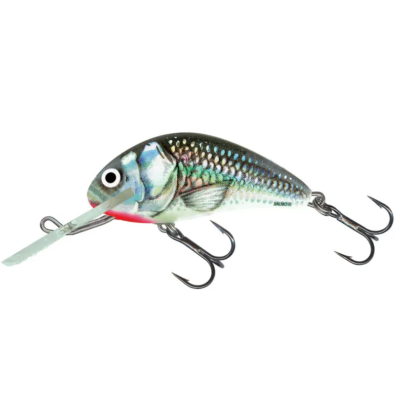Salmo Hornet 6 cm (Sinking) Réduction