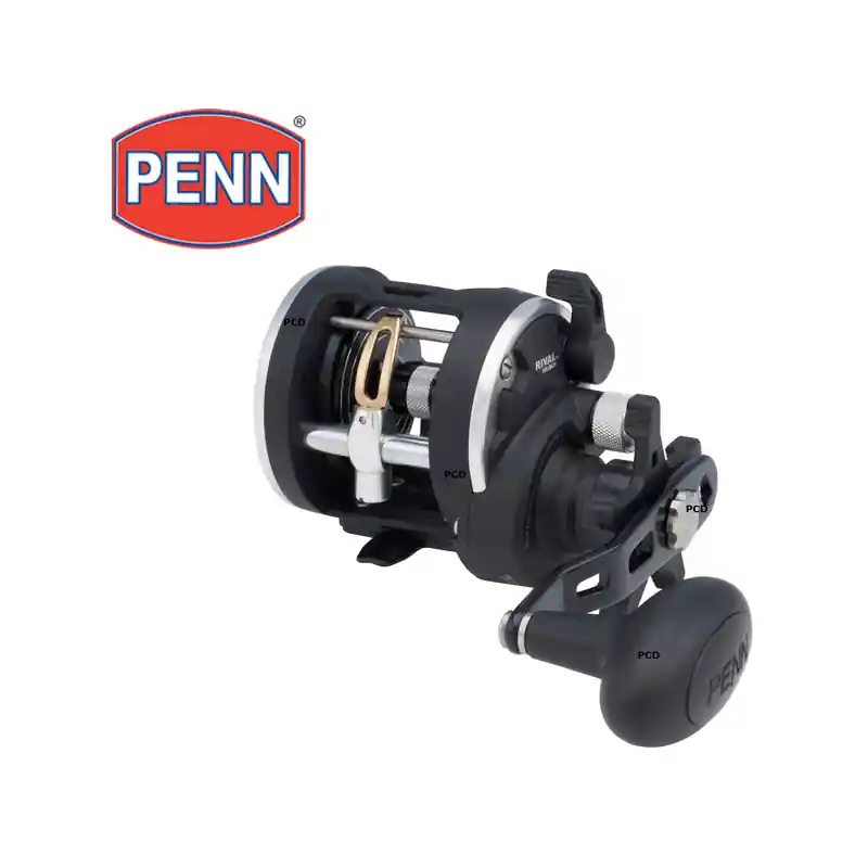 Expédié Aujourd&rsquo;hui MOULINET MER TRAINE PENN RIVAL LEVEL WIND 30 LWLCLH GAUCHER