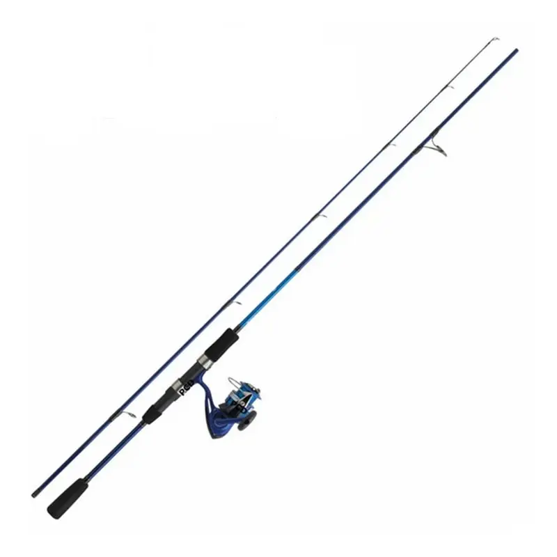 Authentique Ensemble Mer Leurres Daiwa D‘Wave 01