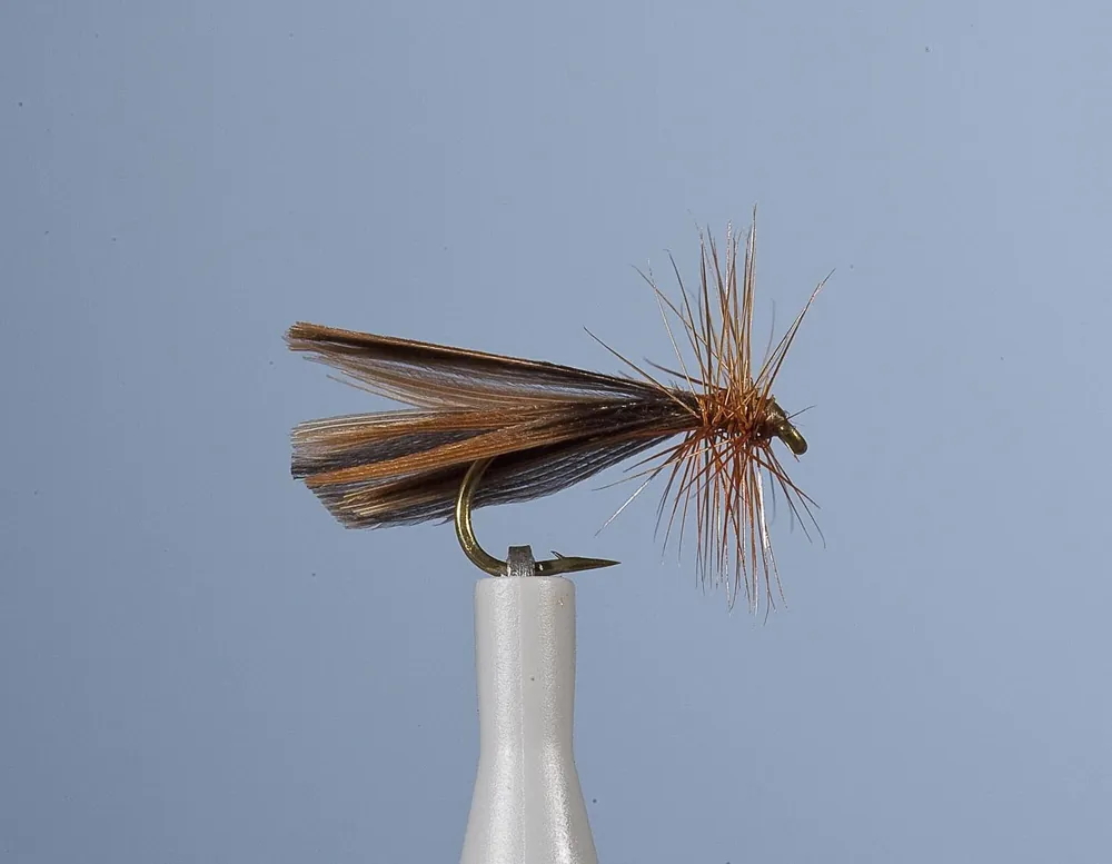 Certifié Mouche Sedge JMC Petu H14