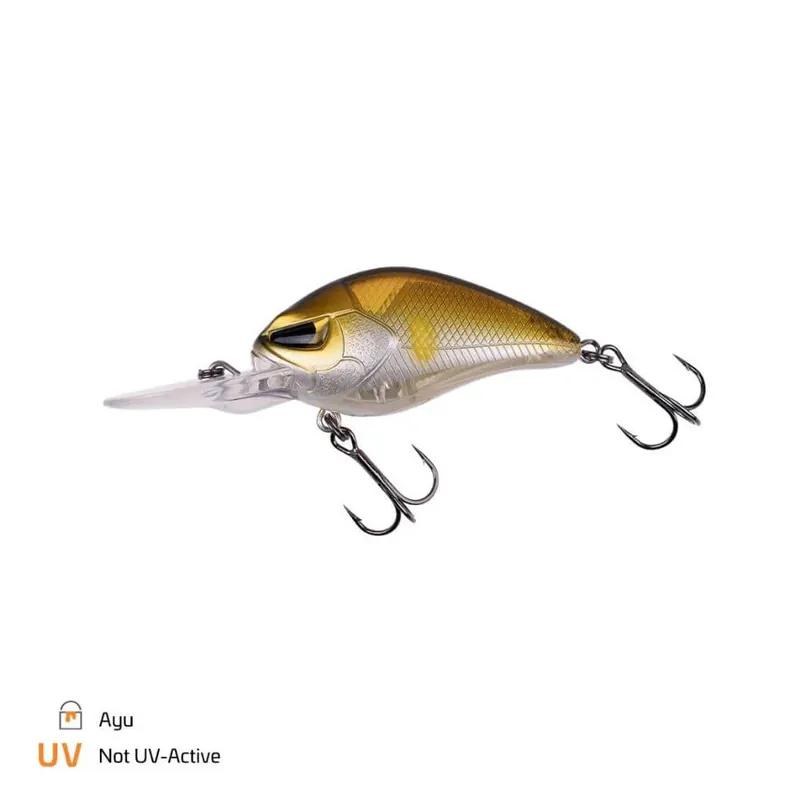 Acheter Direct Zeck Danny 2.0 5,5 cm / 2,5 m