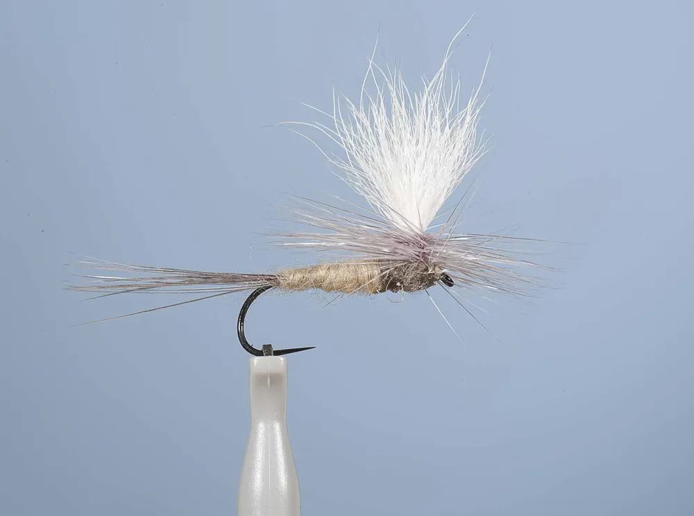 Acheter En Ligne Mouche Emergente JMC Dc 55BL H12