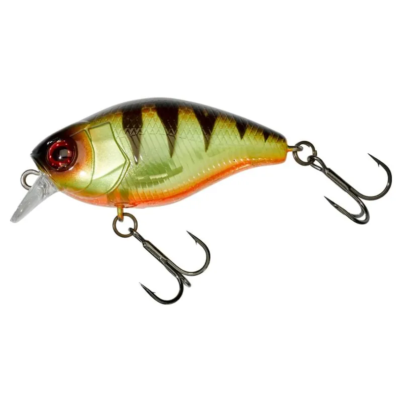 Prix Cassé Jackall Magnum Chubby 50