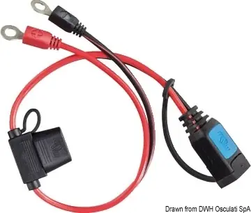 Offre Exclusive Câble Victron Energy pour chargeur Bluesmart IP65 avec œillets 6 mm