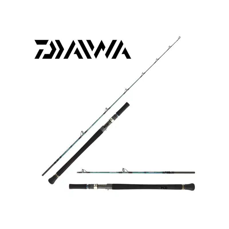 CANNE CASTING DAIWA GRANDWAVE BAITCASTING 56HBAF Dernière Chance