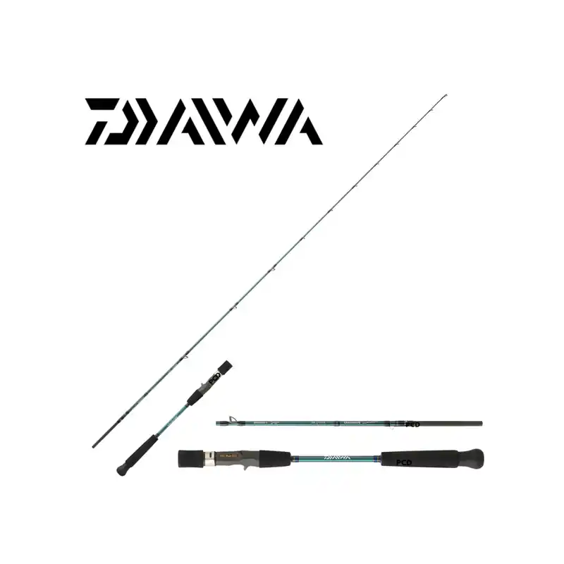 CANNE CASTING DAIWA GRANDWAVE BAITCASTING 66HBAF Livraison Express