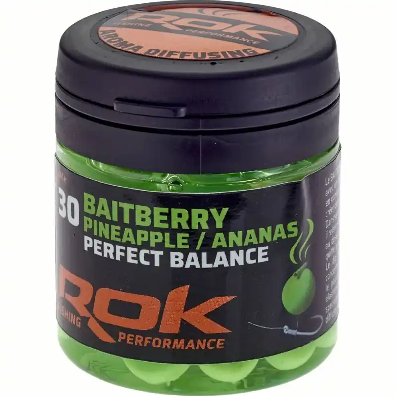Meilleur Prix BAITBERRY – DIP ÉQUILIBRÉ ROK FISHING PERFORMANCE