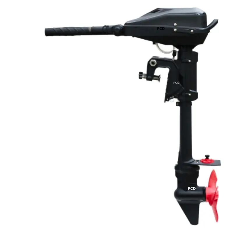 Usine Directe Moteur Electrique Haswing Armada T10 48V 300Lbs