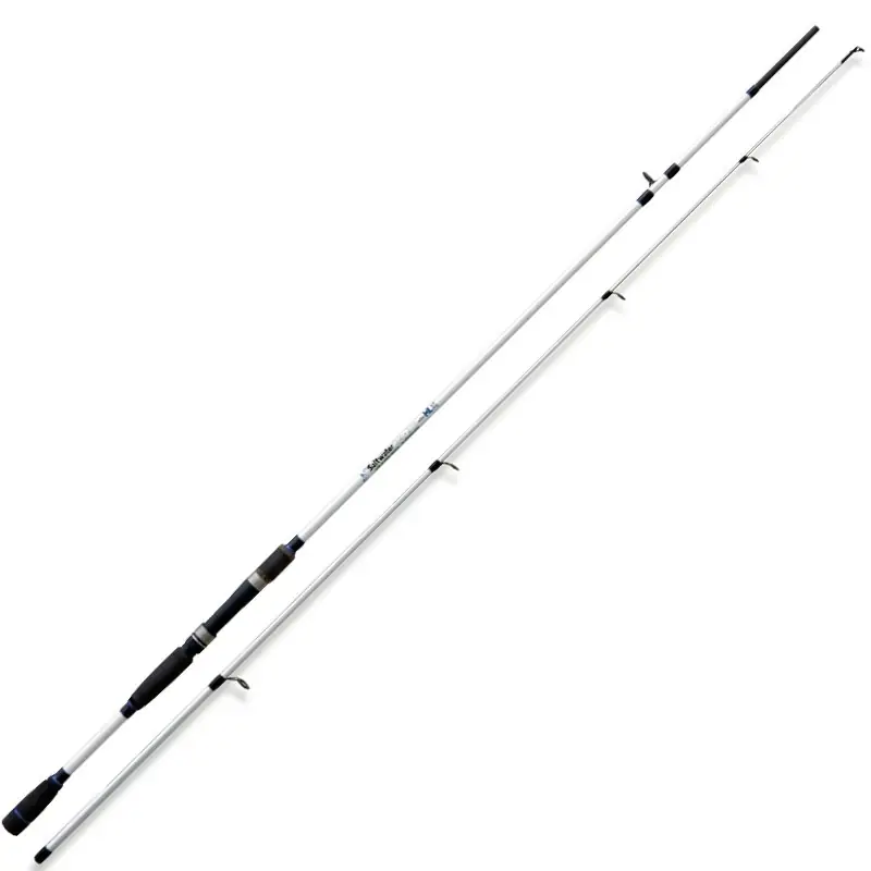 Canne Lineaeffe Saltwater Spinning Must-Have