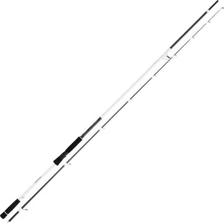 Canne Daiwa Infeet Seabass II Nouvel Arrivage