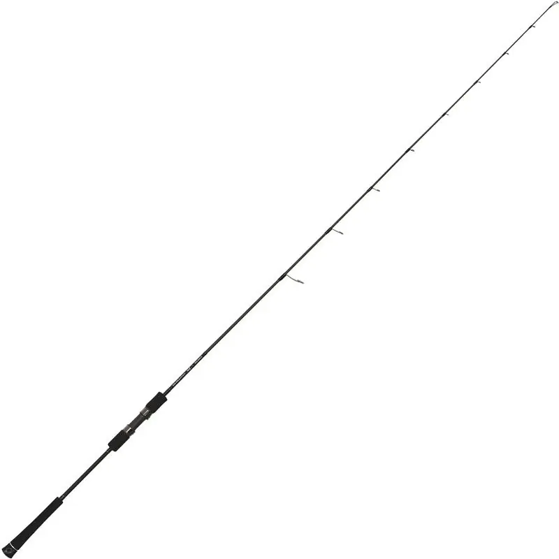 Canne à pêche Slow jigging Tenryu Horizon HSL Super Prix