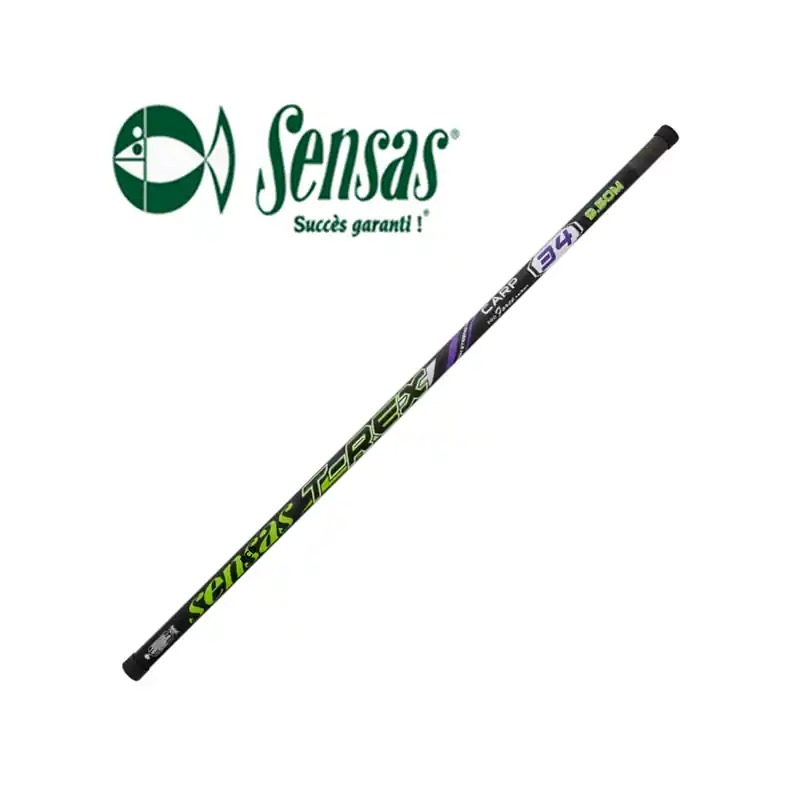 Affaire À Saisir PACK CANNE SENSAS T-REX CARP 34 9M50