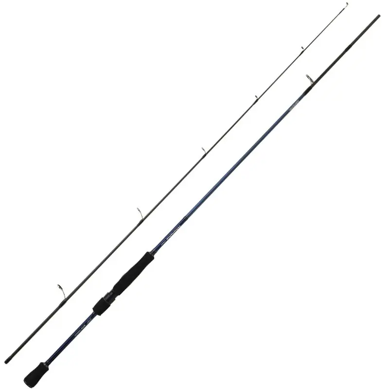 Authentique Canne spinning Daiwa Team Daiwa