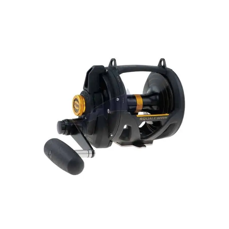Penn Squall Lever Drag 2 vitesses Achat Immédiat