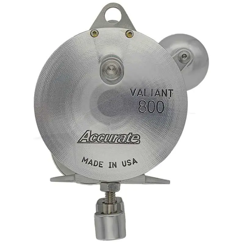 Expédition Rapide Accurate Boss Valiant